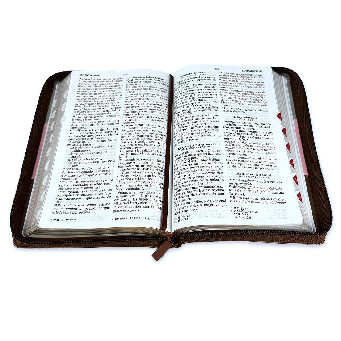 Biblia Letra Grande 12 Puntos Reina Valera 1960 Tricolor Rosa Marrón Cierre índice
