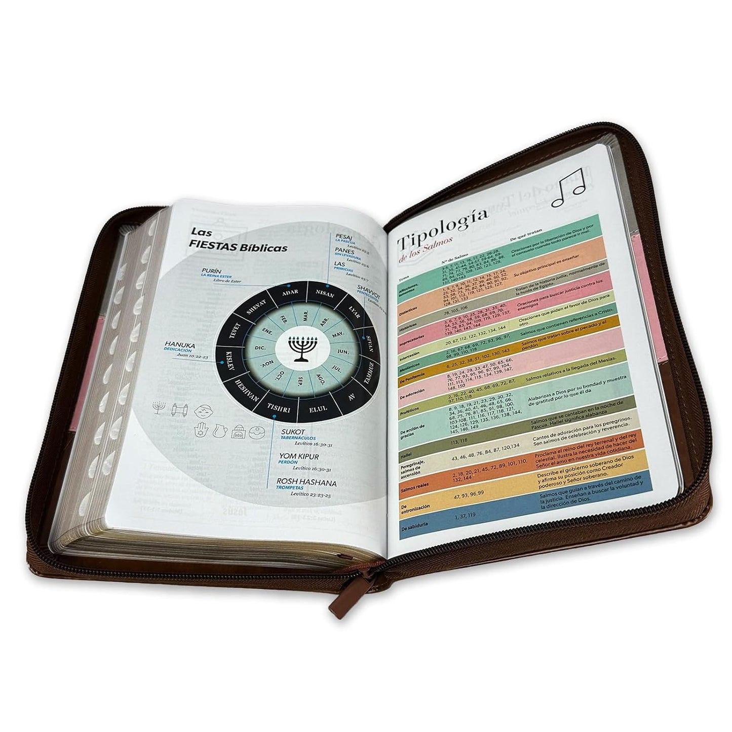 Biblia Letra Grande 12 Puntos Reina Valera 1960 Tricolor Rosa Marrón Cierre índice