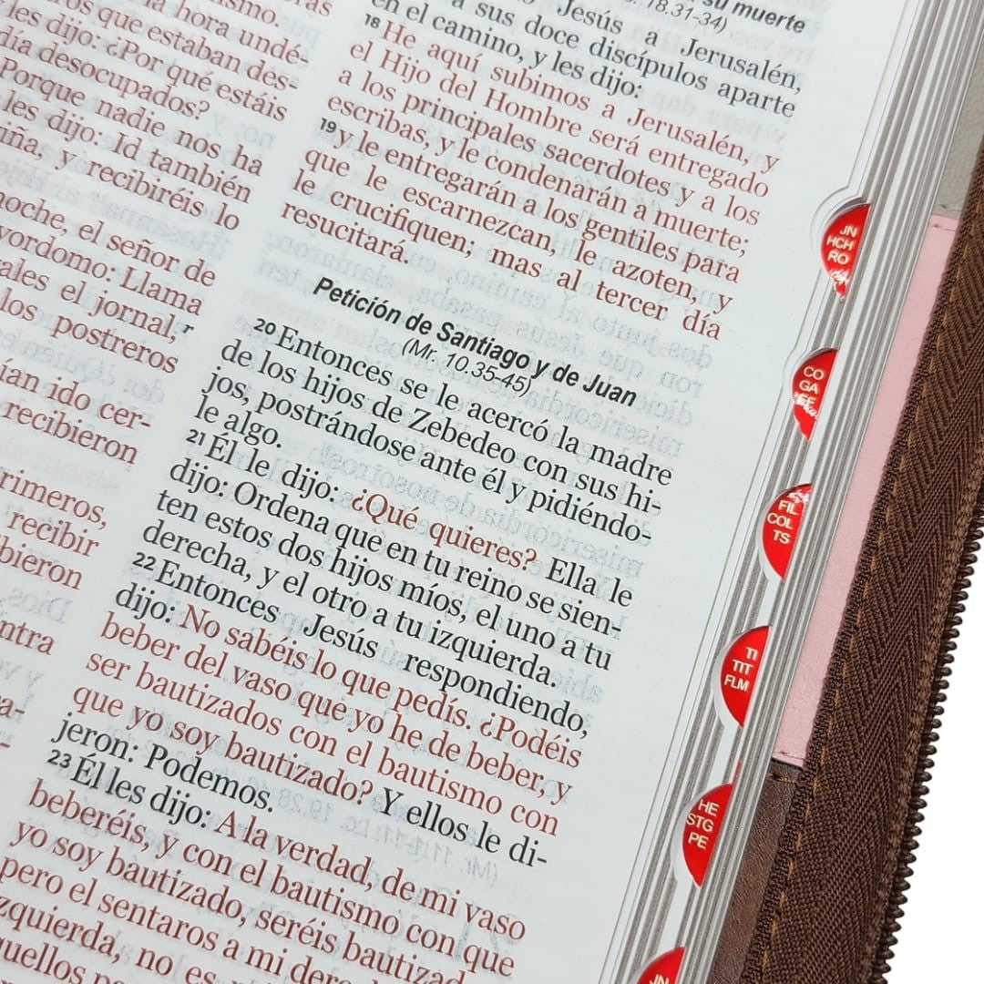 Biblia Letra Grande 12 Puntos Reina Valera 1960 Tricolor Rosa Marrón Cierre índice