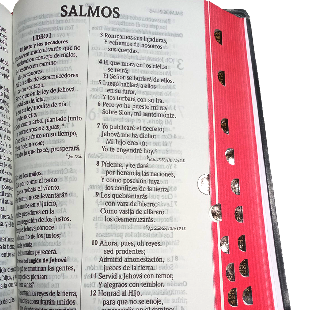 Biblia RVR1960 Letra grande indice concordancia negro