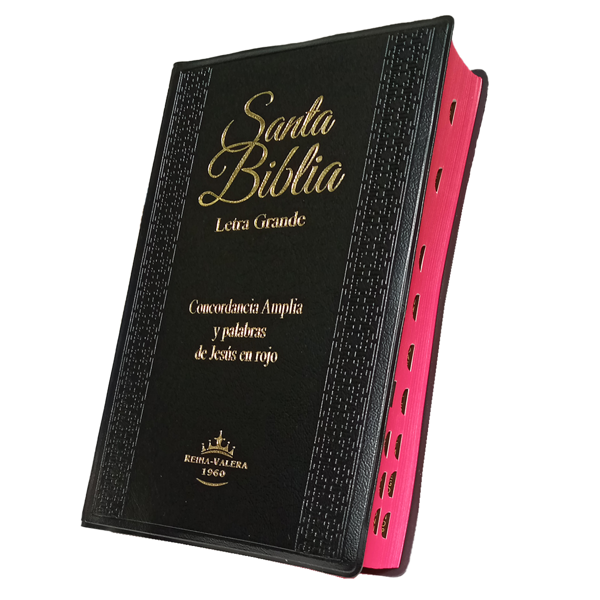 Biblia RVR1960 Letra grande indice concordancia negro