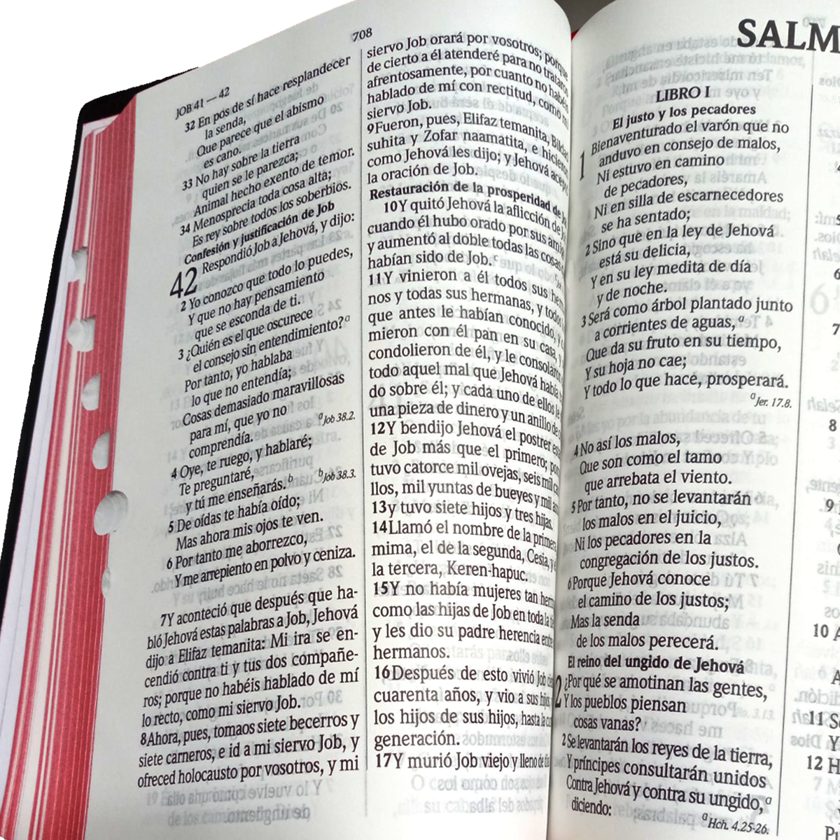 Biblia RVR1960 Letra grande indice concordancia negro