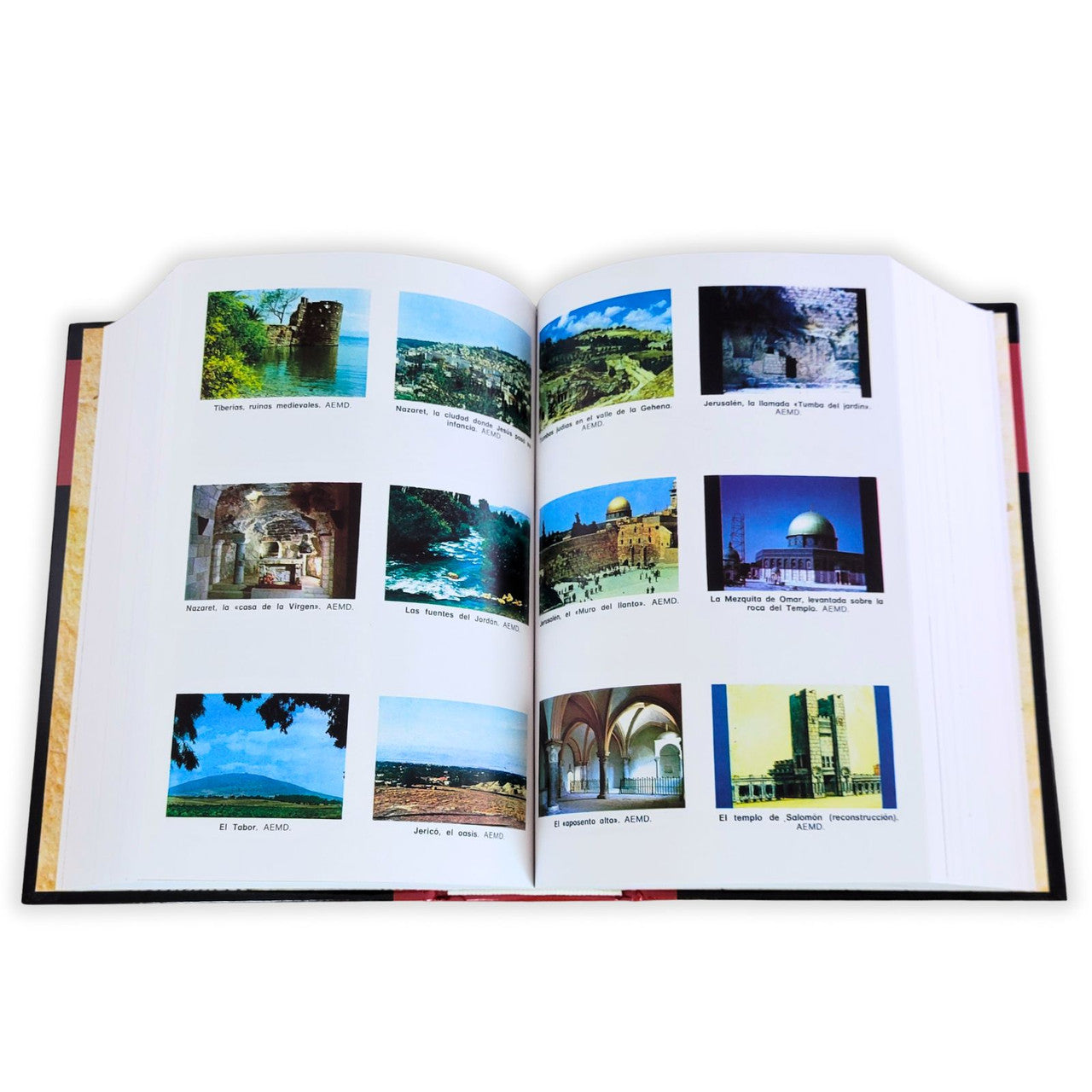 Nuevo diccionario bíblico ilustrado (nueva edición)