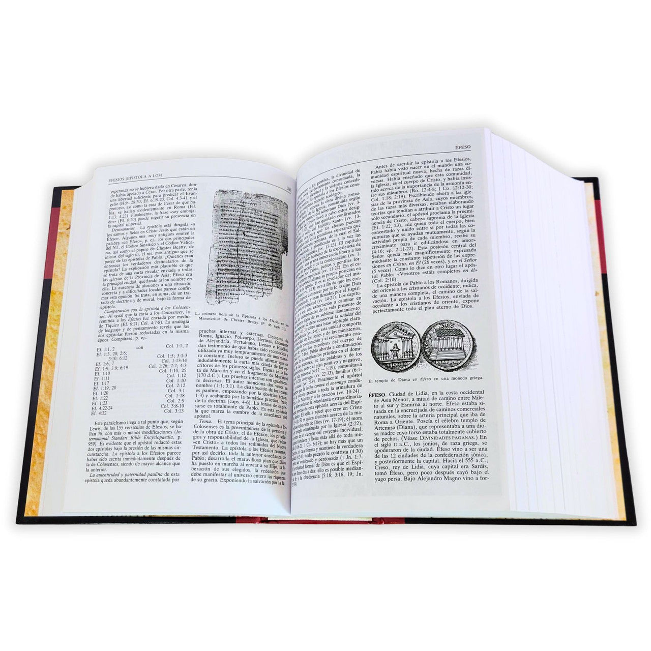 Nuevo diccionario bíblico ilustrado (nueva edición)