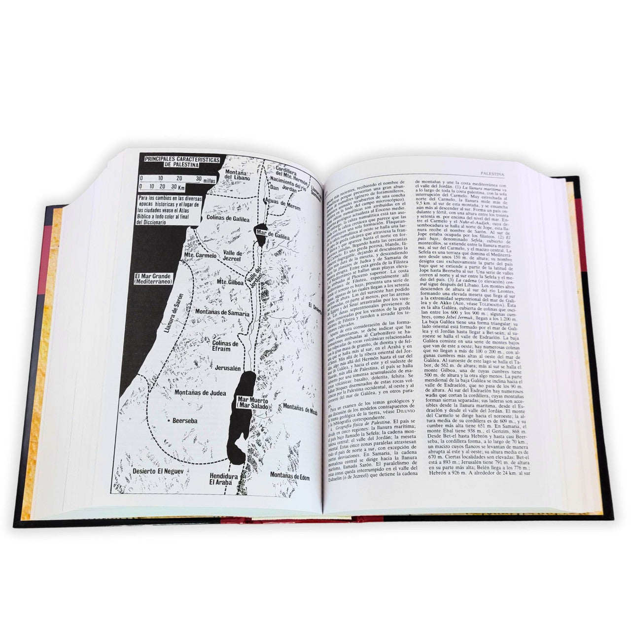 Nuevo diccionario bíblico ilustrado (nueva edición)