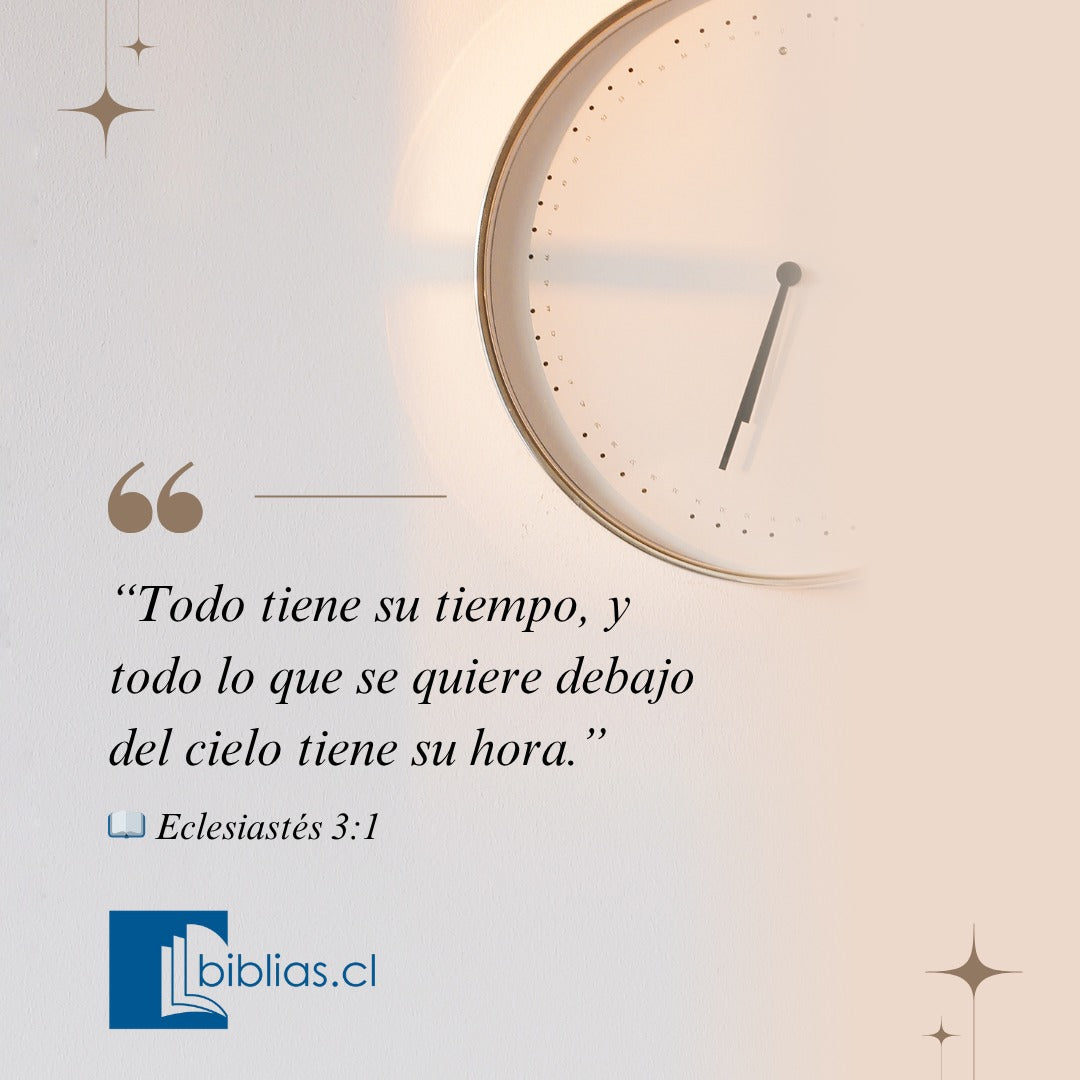 Biblia Rvr 1960 Letra Gigante 14 Pts. Concordancia Lila