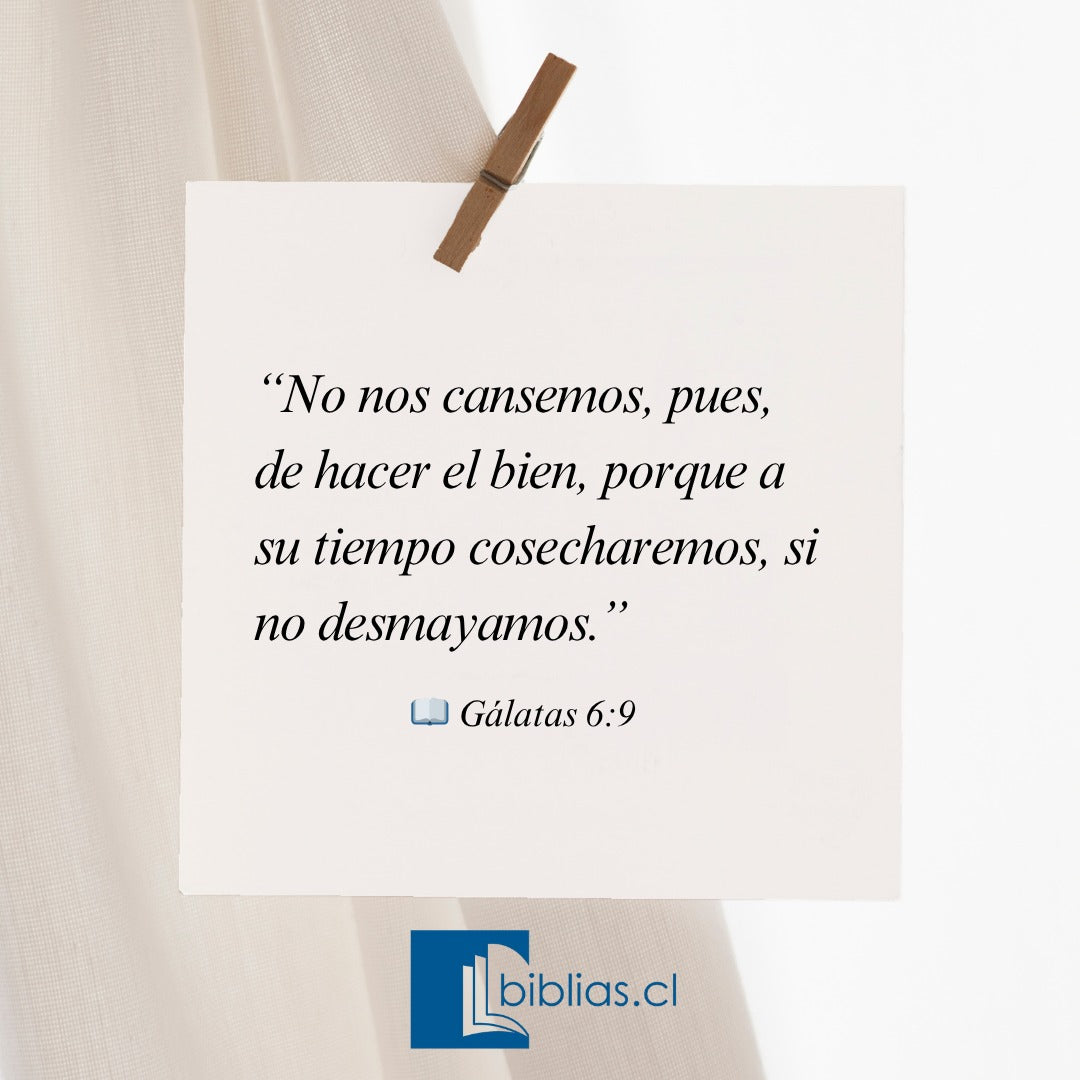 Biblia de la predicación para mujer 10 puntos con índice verde