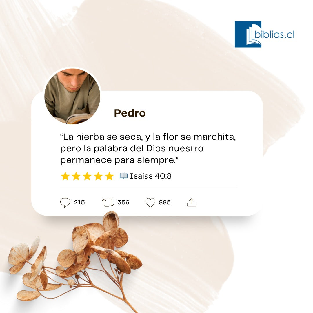 Libro Fe para el camino: Meditaciones diarias para una confianza firme en Dios
